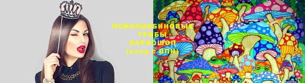 дживик Лагань