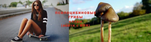 гидропоника Вяземский