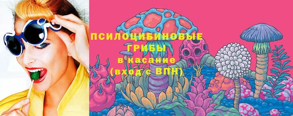 гидропоника Вяземский