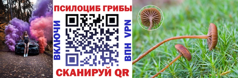 Галлюциногенные грибы Cubensis Макарьев